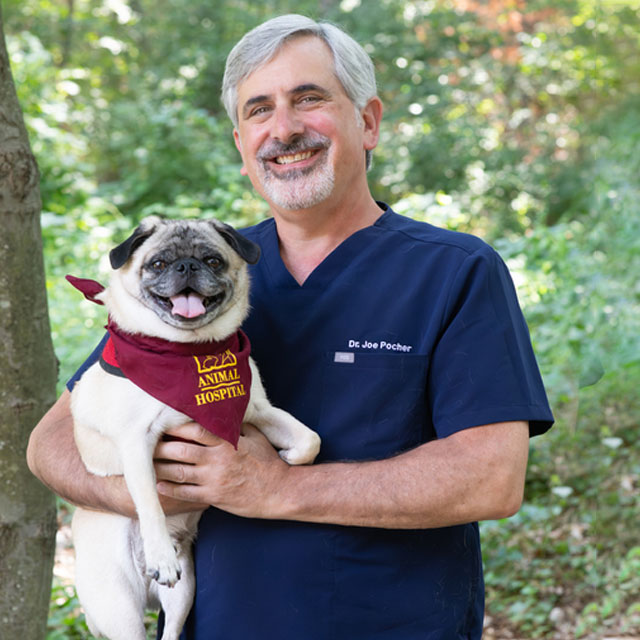 Dr. Joe Pocher
